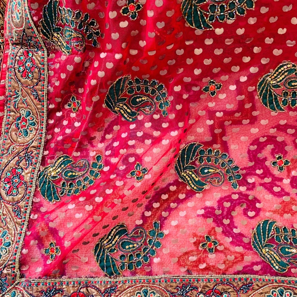 Gorgeous  heavy work net saree indian pakistani